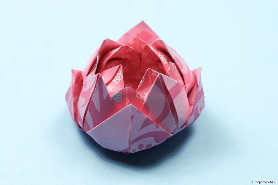 Цветок лотоса  оригами