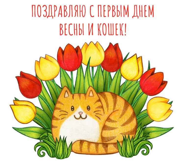 Электронные открытки